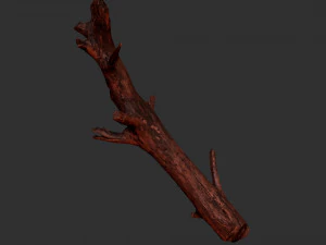 Tree trunk 3d scan 3D Model