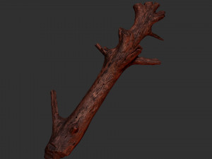 Tree trunk 3d scan 3D 模型