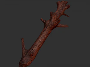 Tree trunk 3d scan 3D Model