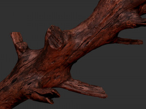 Tree trunk 3d scan 3D 模型