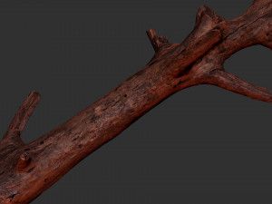 Tree trunk 3d scan 3D 模型