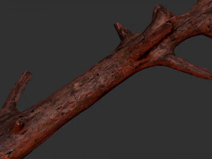 Tree trunk 3d scan 3D Model