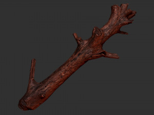 Tree trunk 3d scan 3D 模型