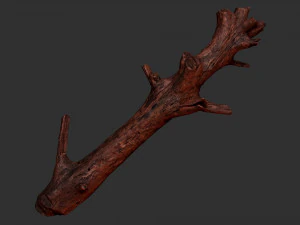 Tree trunk 3d scan 3D Model