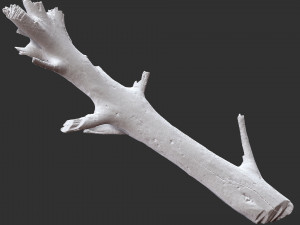 Tree trunk 3d scan 3D 模型