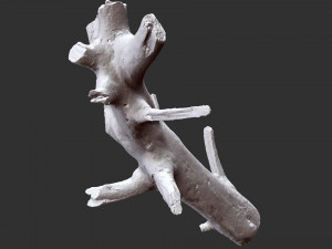 Tree trunk 3d scan 3D 模型