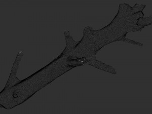 Tree trunk 3d scan 3D 模型