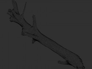 Tree trunk 3d scan 3D 模型