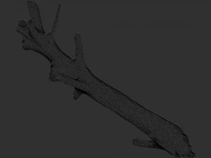 Tree trunk 3d scan 3D Model