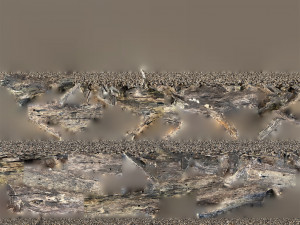 Tree trunk 3d scan 3D 模型