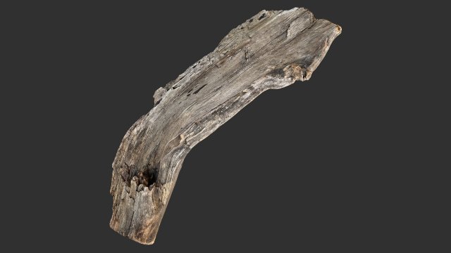 Tree trunk 3d scan 3D-Modell .c4d .max .obj .3ds .fbx .stl .blend 