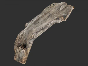 Varredura 3d do tronco de &aacute;rvore Modelo 3D