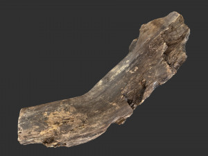 Tree trunk 3d scan 3D-Modell