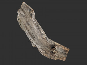 Tree trunk 3d scan 3D-Modell