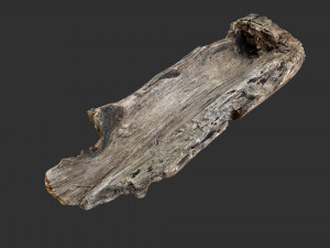 Tree trunk 3d scan 3D-Modell