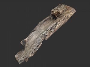 Tree trunk 3d scan 3D-Modell