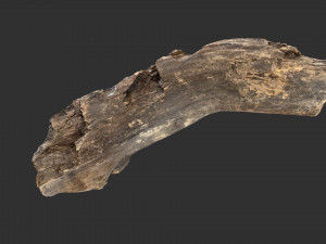 Tree trunk 3d scan 3D-Modell