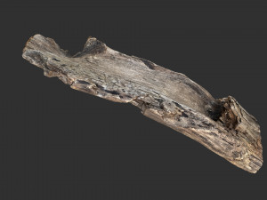 Tree trunk 3d scan 3D-Modell