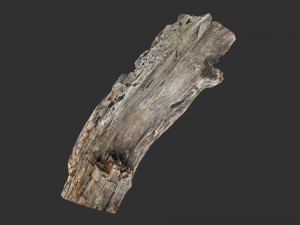 Tree trunk 3d scan 3D-Modell