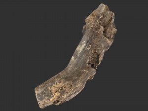 Tree trunk 3d scan 3D-Modell