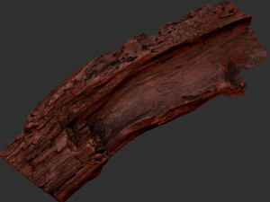 Tree trunk 3d scan 3D-Modell
