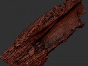 Tree trunk 3d scan 3D-Modell