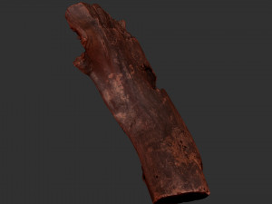 Tree trunk 3d scan 3D-Modell