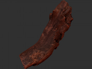 Tree trunk 3d scan 3D-Modell