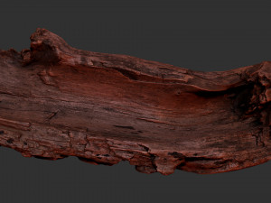 Tree trunk 3d scan 3D-Modell