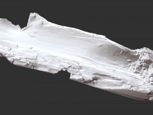 Tree trunk 3d scan 3D-Modell
