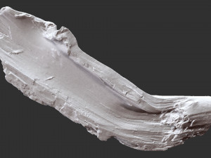 Tree trunk 3d scan 3D-Modell