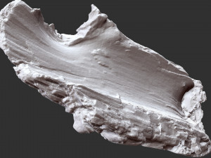 Tree trunk 3d scan 3D-Modell