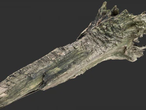 枯萎的树干 3d 扫描 3D 模型