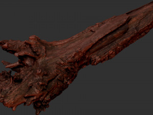 Withered tree trunk 3d scan 3D Модель