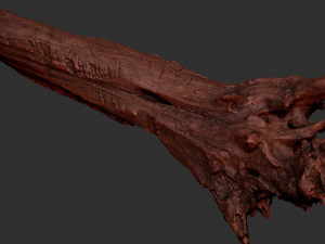 Withered tree trunk 3d scan 3D Модель