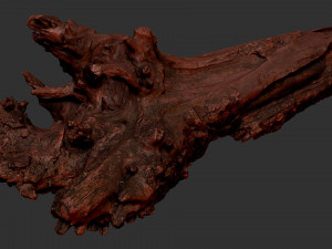 Withered tree trunk 3d scan 3D Модель