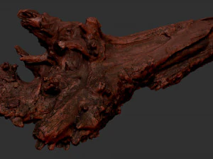 枯萎的树干 3d 扫描 3D 模型