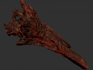 Withered tree trunk 3d scan 3D Модель