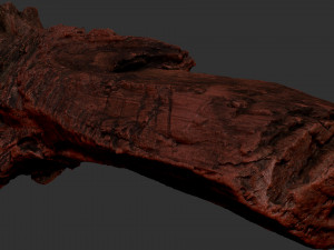 Withered tree trunk 3d scan 3D Модель