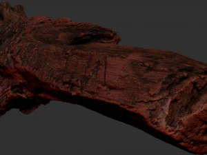 枯萎的树干 3d 扫描 3D 模型