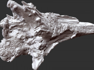 Withered tree trunk 3d scan 3D Модель