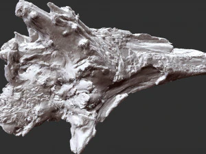 枯萎的树干 3d 扫描 3D 模型