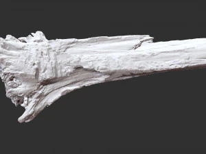 枯萎的树干 3d 扫描 3D 模型