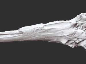 枯萎的树干 3d 扫描 3D 模型