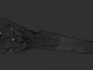 枯萎的树干 3d 扫描 3D 模型