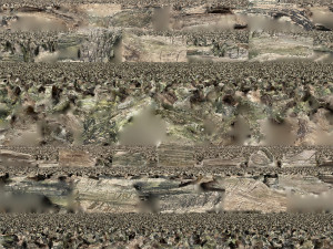 Withered tree trunk 3d scan 3D Модель