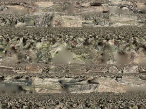 枯萎的树干 3d 扫描 3D 模型