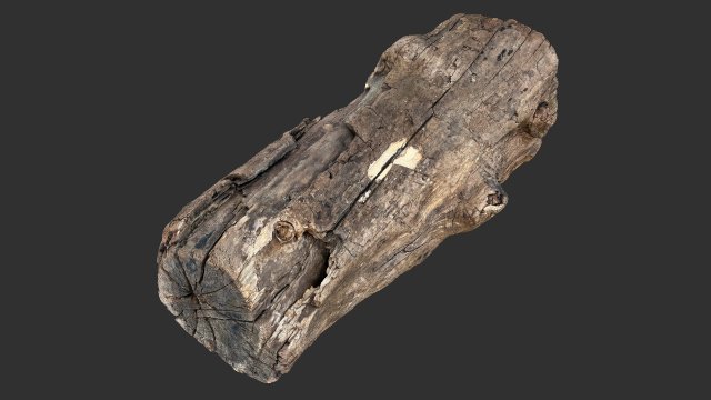 3d scan of Tree trunk 3D Модель .c4d .max .obj .3ds .fbx .stl .blend 