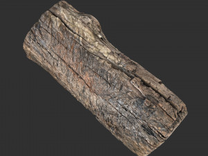 3d scan of Tree trunk 3D Модель