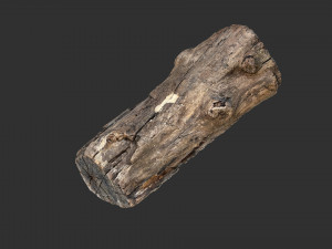 3d scan of Tree trunk 3D Модель
